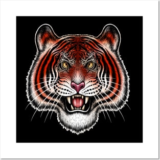 Tiger bengal tiger Siberian tiger big cat Posters and Art